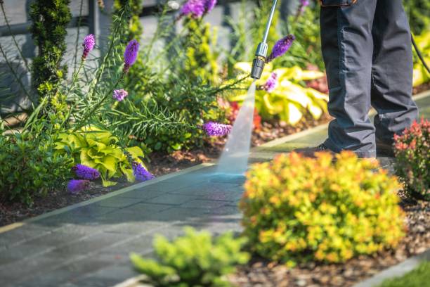 Best Parking Lot and Garage Cleaning  in Westmere, NY